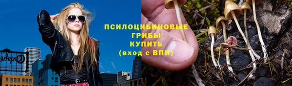 СК Вязьма