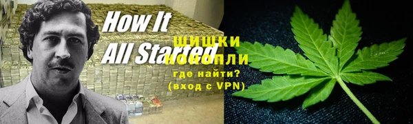 стаф Вязники