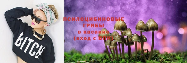 СК Вязьма
