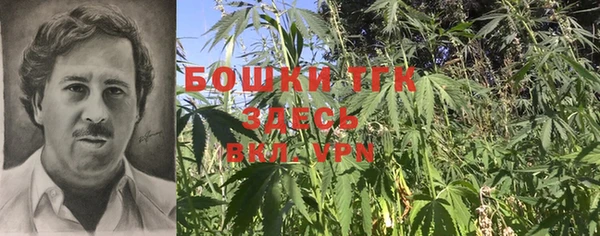 СК Вязьма