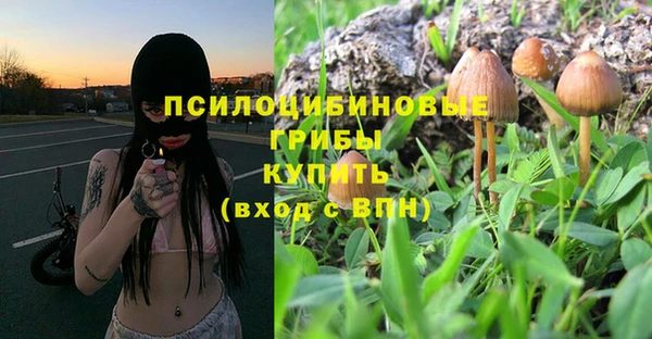 MDMA Premium VHQ Вяземский