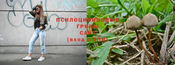 СК Вязьма