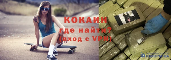 СК Вязьма